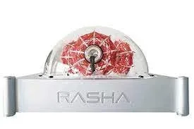 RASHA scalar plasma energy device